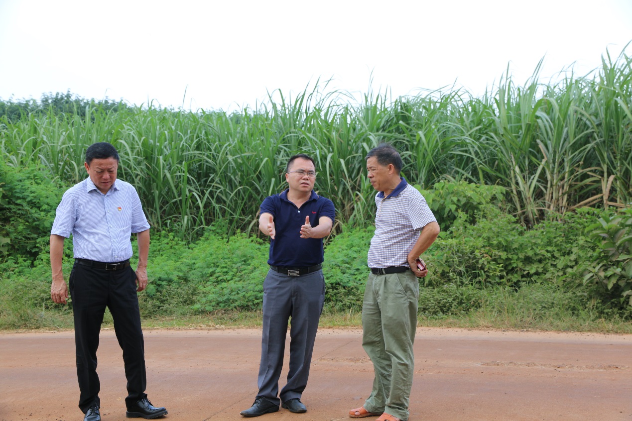 公司党委书记,董事长黄兴海带队赴临高县现场督导农村公路六大工程
